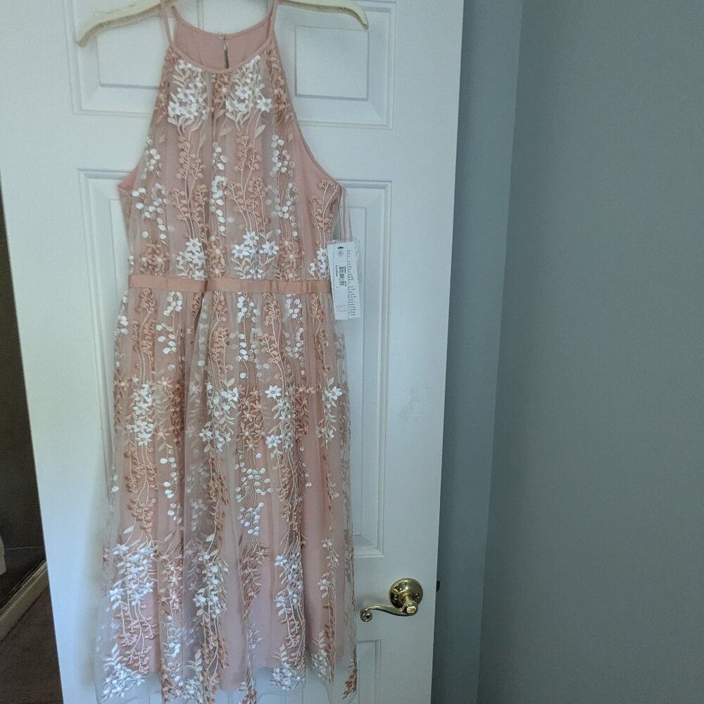 Maggy London Halter-style Lace Dress - Peach - Size 6 - NWT